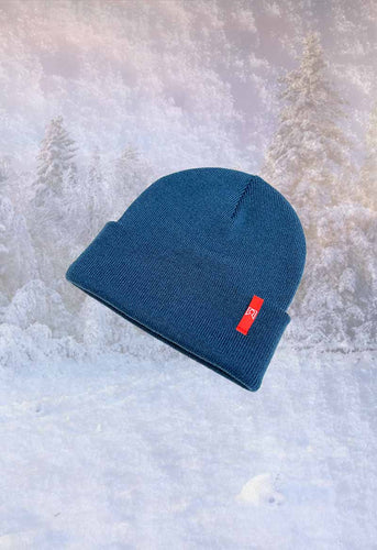 Inside Out Beanie Blue